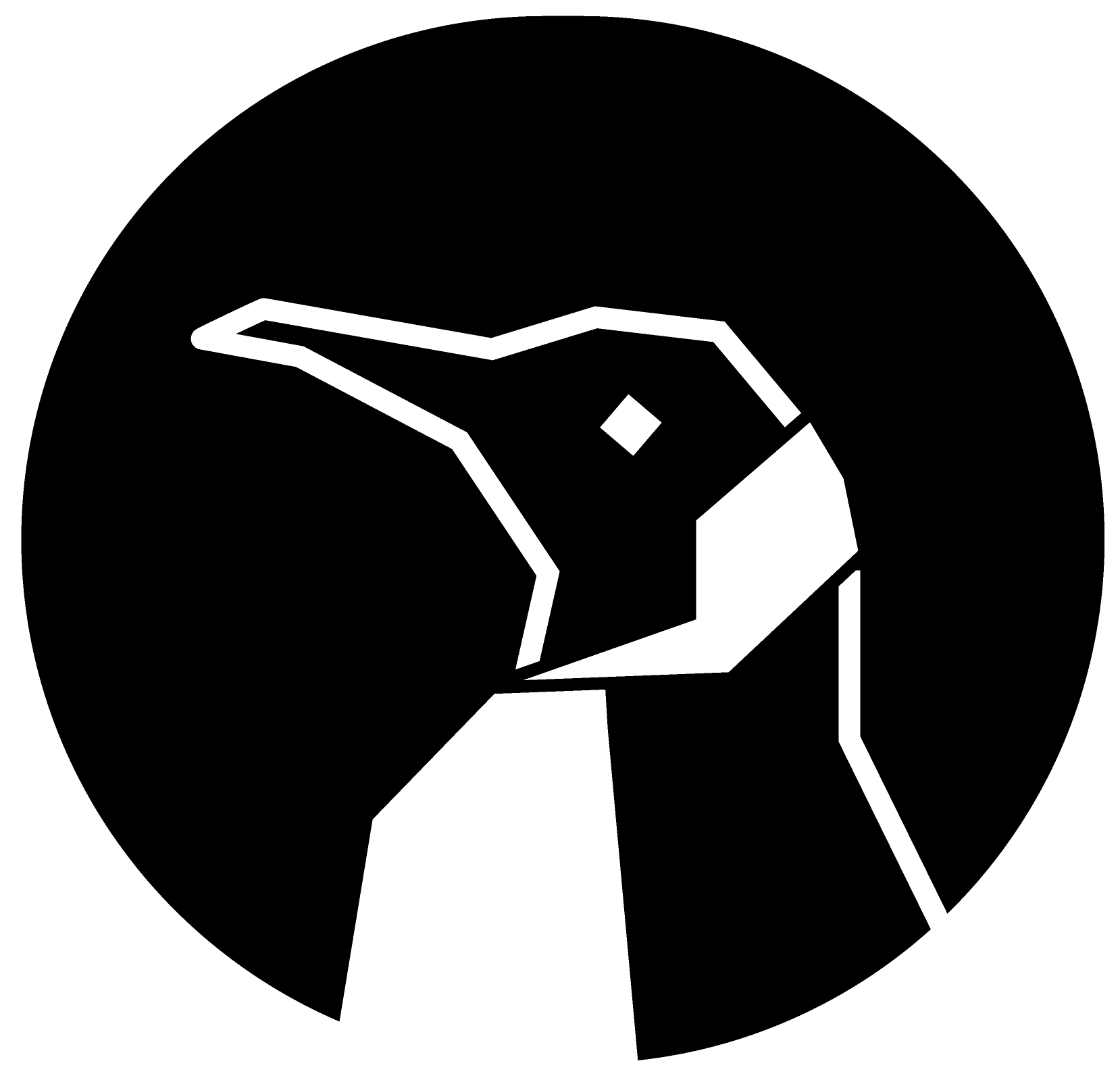 Pinwox logo